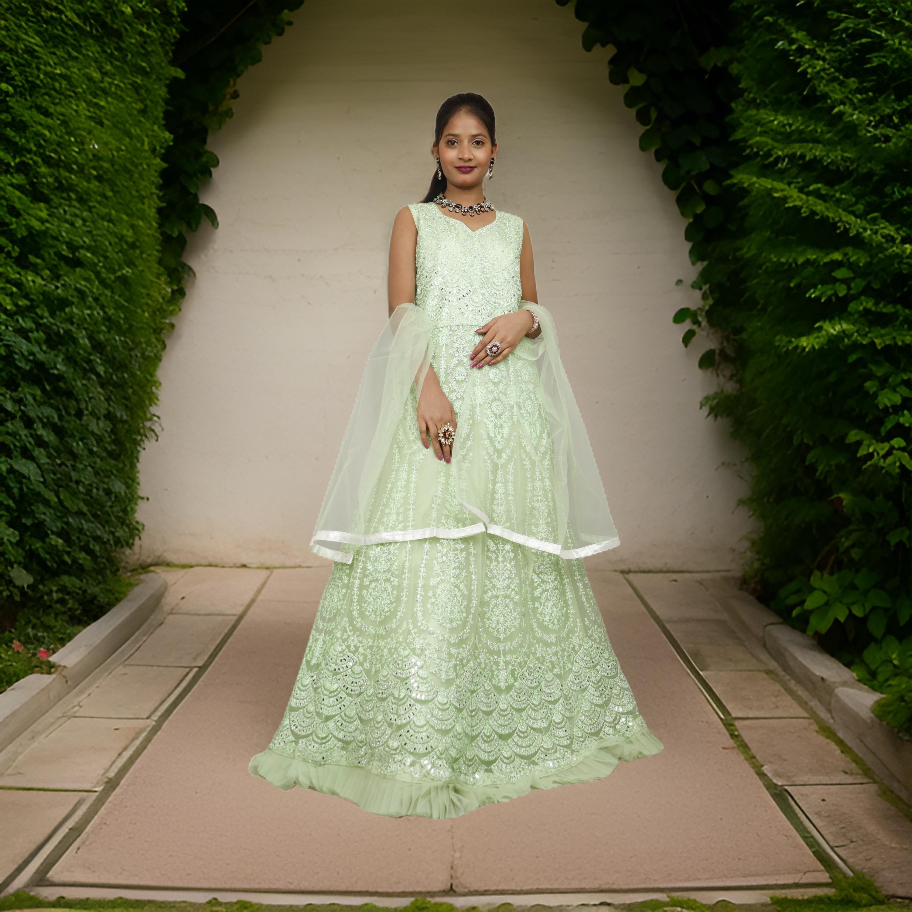 Gown with Thread Work & Stones by Shreekama
